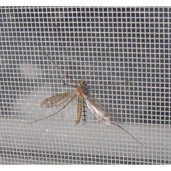 Anti insect window screen net