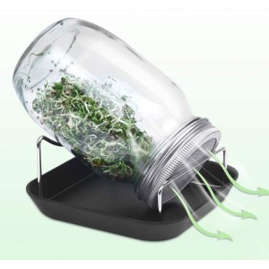 SS304 Width Mouth Mason Jars Seed Sprouts Kit